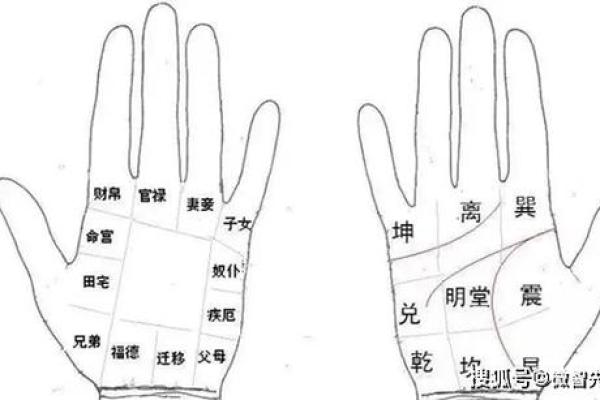 解读手相：左手右手的神秘差异