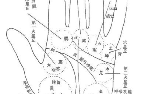 手相图解大全 探索掌纹中隐藏的生命密码