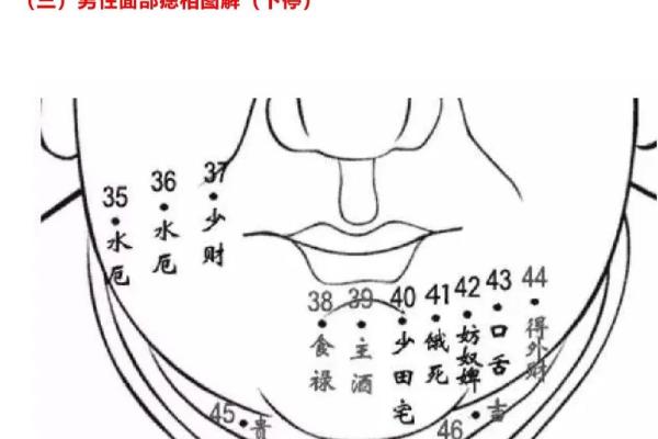 男性面部痣的位置和性格特征详解