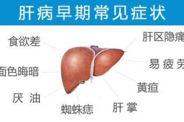 脖子上的痣可能隐藏的健康信号解析