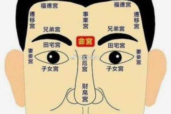 面相分析：如何从面容看出个人运势