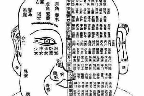 面相分析：如何从面容看出个人运势