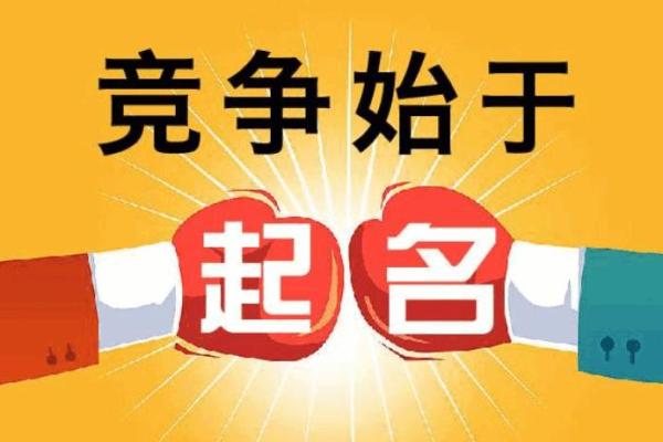 提升命名策略：使用取名分数测试评估名字效果