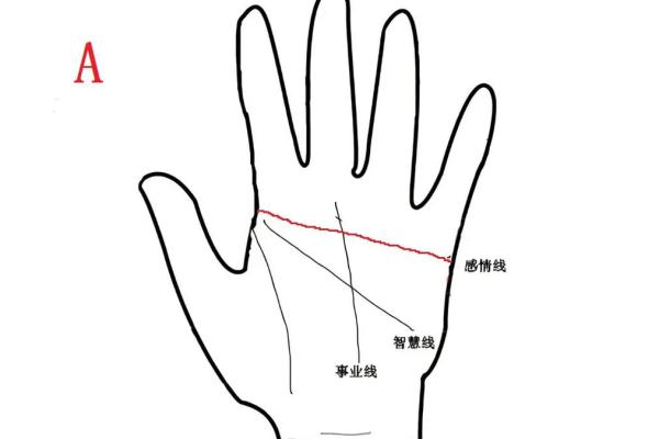 解读手相感情线：你感情生活的指示器