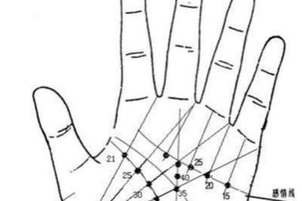 男士手相分析全解析 了解你的命运线与性格特征