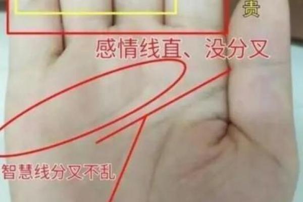 佛眼纹手相解析：揭示命运与智慧的神秘之眼