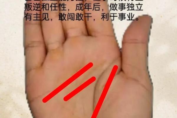 手相学入门：如何通过手掌特征分析未来