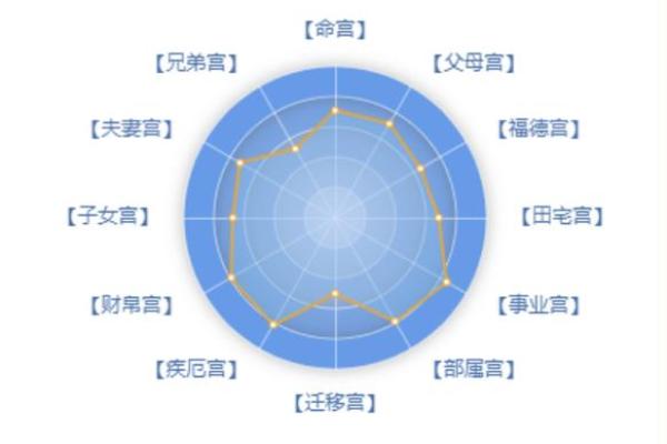 通过紫微斗数探索你的未来运程