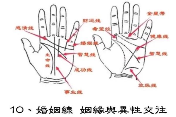 手相入门：轻松掌握手掌纹路与性格的关系