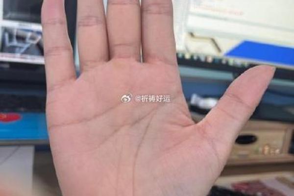 立即体验免费手相分析，发现自己的人生潜力