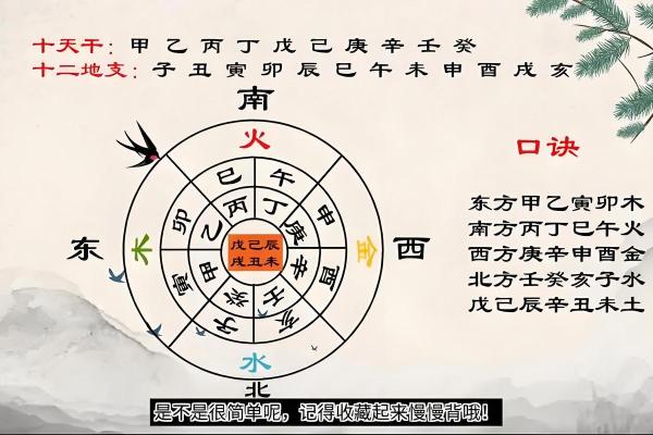 天干地支与命理学的关系解析