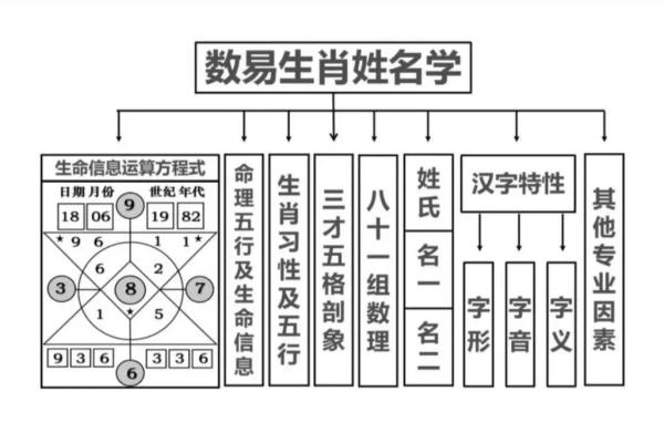 免费测名字，姓名学为你揭秘人生方向