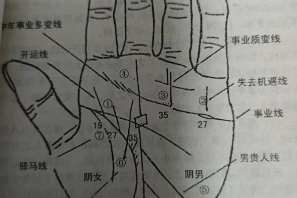 手相学解析：如何通过手掌线条洞察个人特征