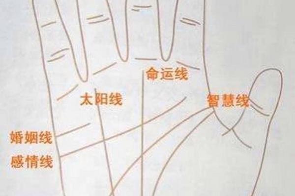 手相学解析：如何通过手掌线条洞察个人特征