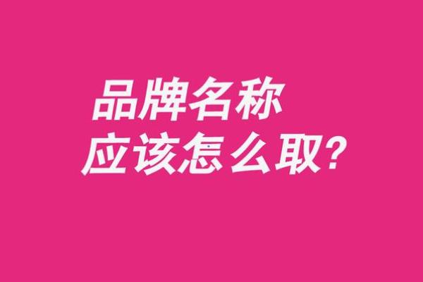 深入分析公司起名查询如何帮助选择品牌名称