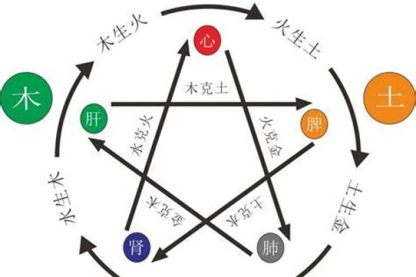 原字五行属性解析及其文化含义