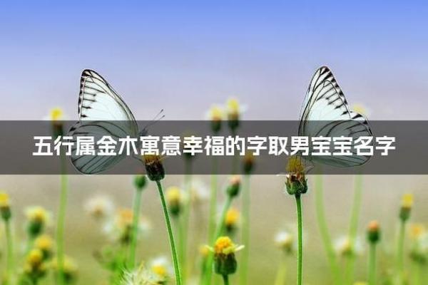 彦字五行属什么及其寓意解析