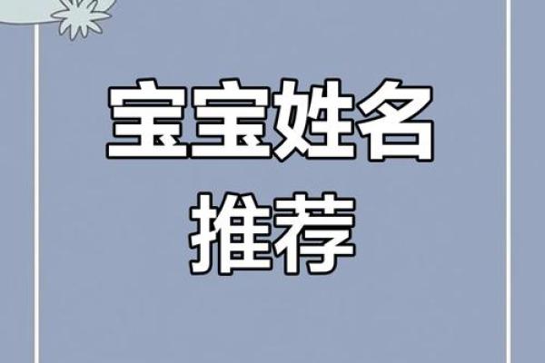 专业宝宝起名网站，轻松找到心仪名字