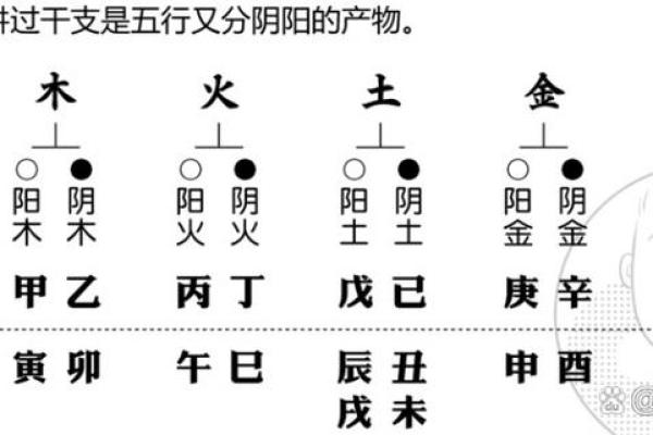 天干与五行的关系：解密十个天干的深层含义