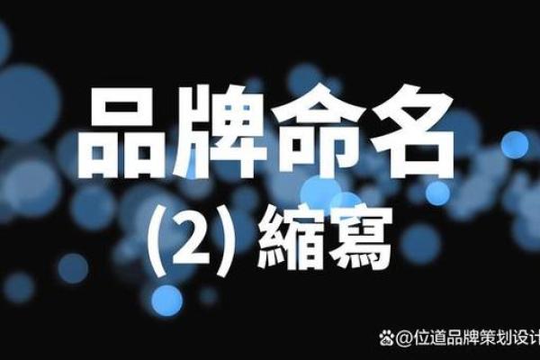 为什么一个独特的公司名字至关重要