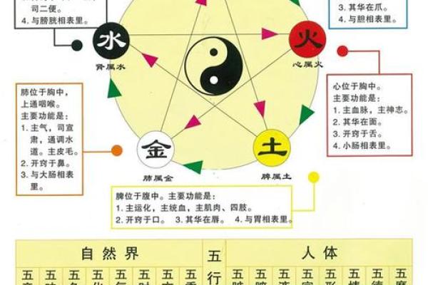 语五行与命理的关系解析