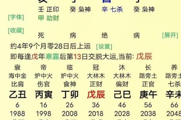 透视甲子命理：从出生年看你的性格与运程