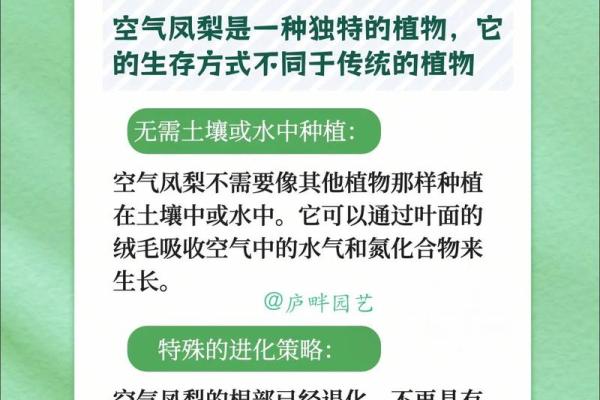 如何为物流公司起个独特且具吸引力的名字