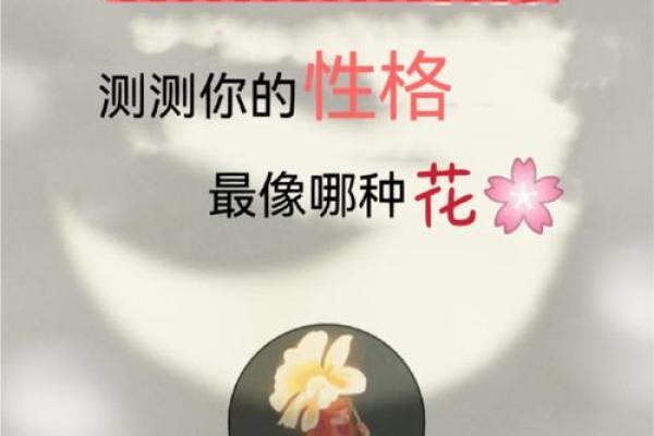 名字测试：从打分中揭示你的性格与命运