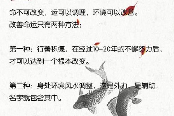 公司起名时如何测吉凶避免企业运势不佳