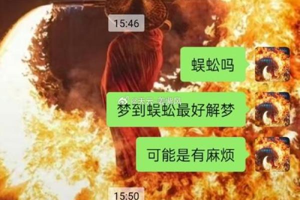 梦境中的蛇：是警告还是吉兆？