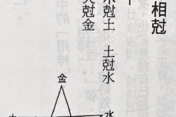 探讨蛇与风水中的五行相生相克的关联