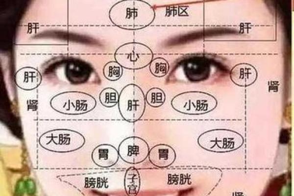 面相学解析：女人面部特征如何影响情感与事业