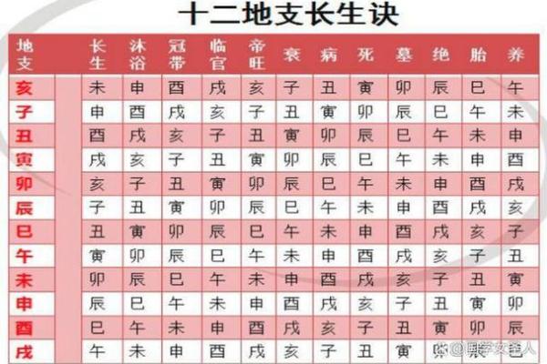 中字五行属性解析及其对命理的影响