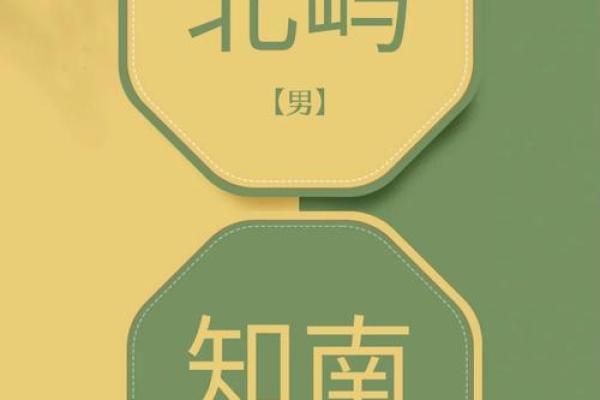 龙凤胎宝宝取名技巧：平衡音韵与寓意的完美结合