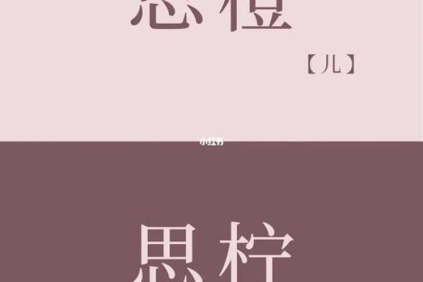 龙凤胎宝宝取名技巧：平衡音韵与寓意的完美结合