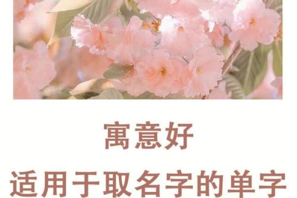 如何为朱姓女宝宝选择一个寓意深远的名字