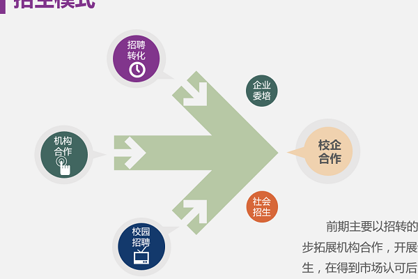 教育公司命名技巧与创意方案解析