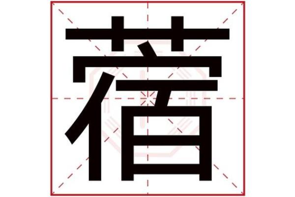 籽字的五行属性解析及其相关含义