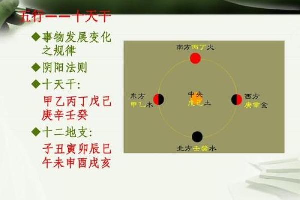 掌握风水学问，免费下载经典txt