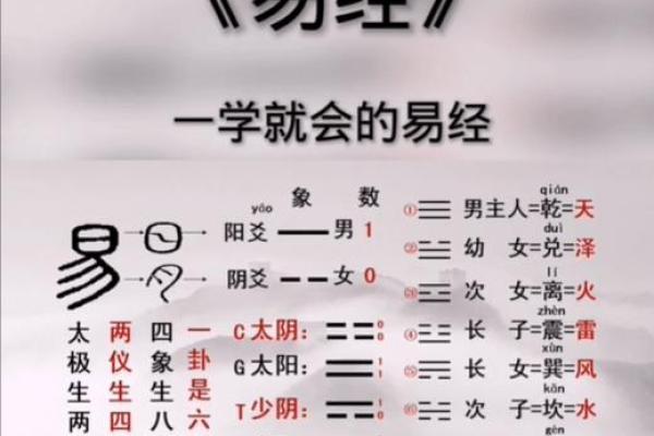 周易公司起名技巧与五行命理的完美结合