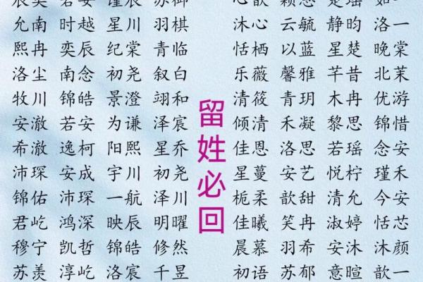 新生儿名字大全：如何选一个最适合的名字