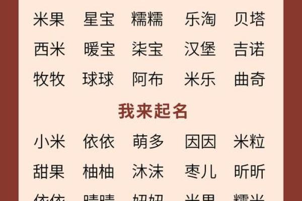 新生儿名字大全：如何选一个最适合的名字