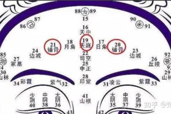 如何通过免费合八字预测未来运程与重要决策