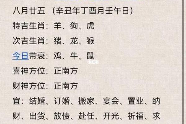 掌握生辰八字，免费算命帮你洞察未来运势