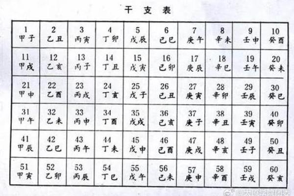 天干地支查询工具推荐与使用技巧