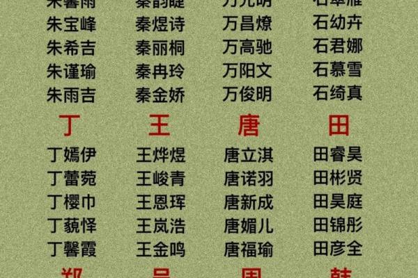 探索宝宝起名字软件的功能，轻松为孩子取个好名字