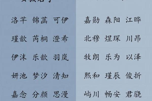 探索宝宝起名字软件的功能，轻松为孩子取个好名字