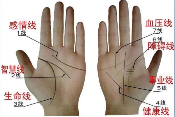 通过手相看未来：揭秘生命线、智慧线与感情线