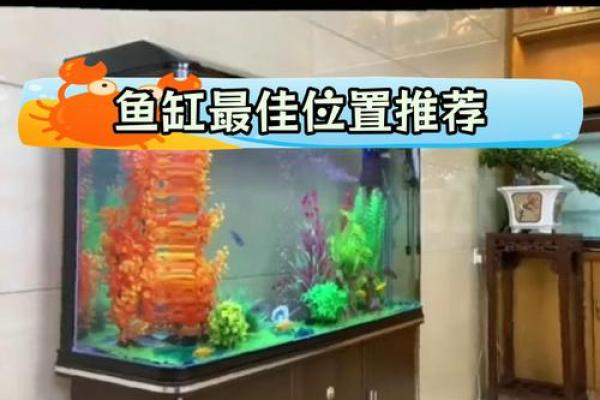 选择适合的鱼缸助力客厅风水提升