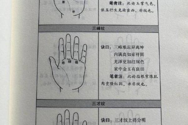 揭秘手相的奥秘：如何通过手纹了解你的未来